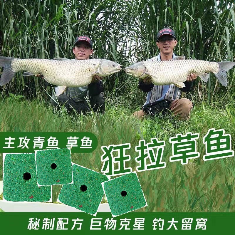 现货钓鱼方块饵野钓钓青鱼草鱼鲤鱼饵料爆炸钩钩小爆炸钩翻版钩打