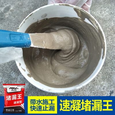 西哲水不漏堵漏王快干水泥卫生间快E速补漏防水材料地漏速干水泥