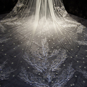 新娘结婚主婚纱香槟色头纱白影楼婚礼拍照头饰超仙森系长款 大拖尾