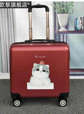 小型旅行箱小清新男学生20寸拉杆箱韩版女生行李箱18寸卡通登机箱
