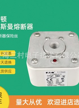 全新原装快速熔断器保险丝170M6422 170M6426 170M6435 170M6452