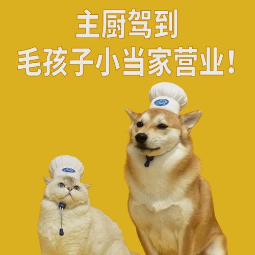 PurLab噗扑实验室 厨师帽宠物头套可调节宠物帽猫狗通用 宠物用品