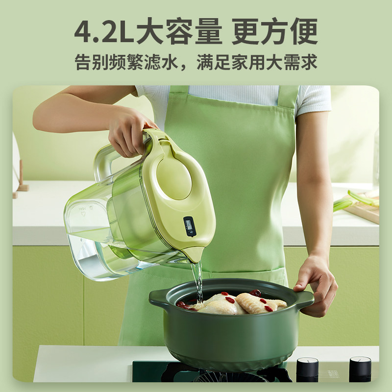德国bwt净水壶家用净水t器免安装矿物质滤芯4.2l过滤水壶 6芯