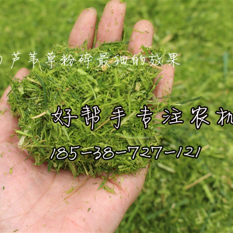 家用养殖大型铡草揉草机牛羊猪鸡鸭鹅切草碎草一体机秸秆粉碎