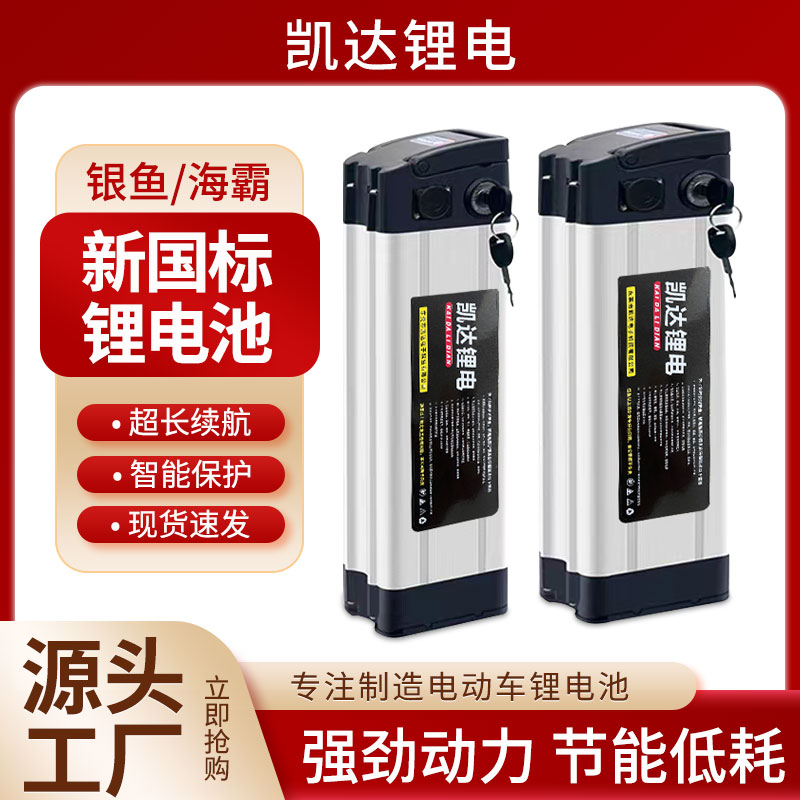 电动车锂电池48v20ah30ah代驾车外送车折叠电动车电池60v电瓶36v 电动车/配件/交通工具 电动车电池 原图主图