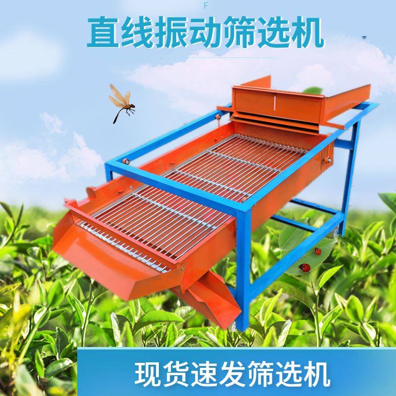 厂家大蒜蒜瓣分级振动筛 弹簧双电机振动式粉末筛选机