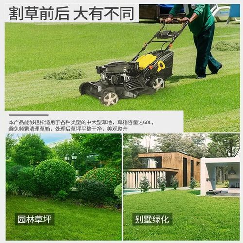 汽油割草机手推式草坪机除草机修剪机果园自走打草机剪草机推草机