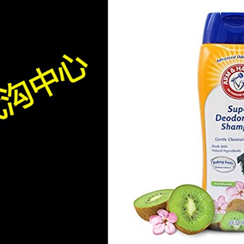 热销Arm & Hammer Super Deodorizing Shampoo for Dogs | Best O