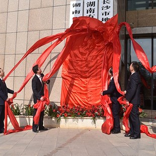 新款揭幕红布招牌开业花球套餐公司开业背景墙牌匾揭牌仪式揭幕布