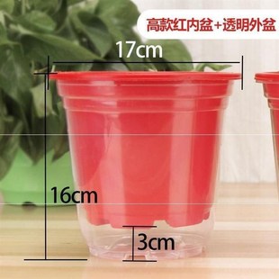 绿萝塑料免浇水懒人花盆套自吸盆大号储水盆吊兰花盆自吸水透明罩