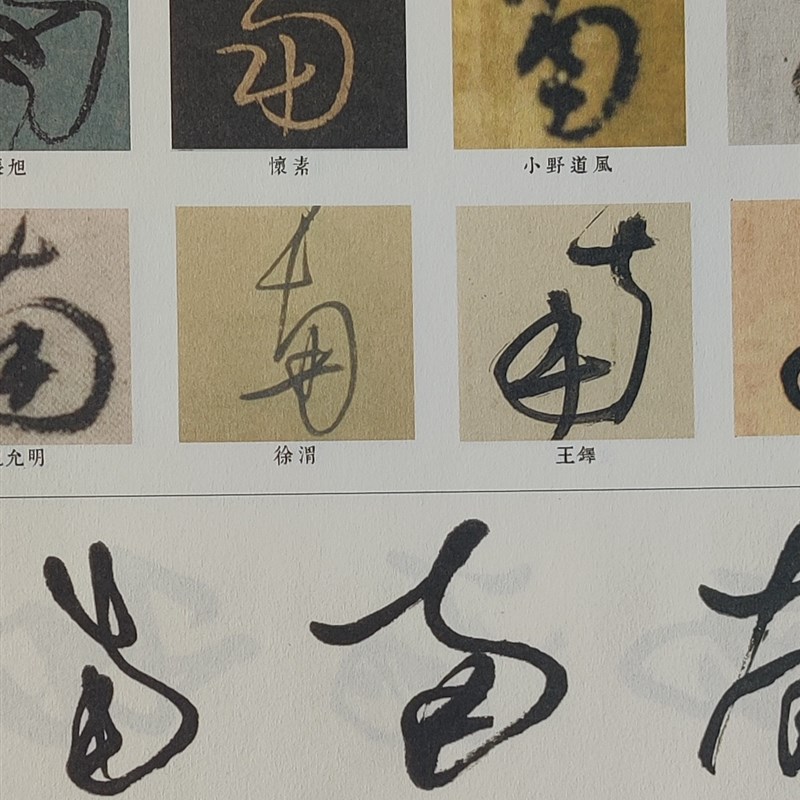 草书创作常用五百字精讲 书法草书常见草法草书 草书入门草法解析