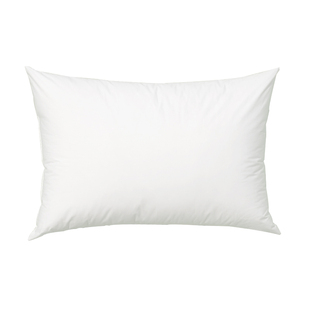 60x85/65x80 85 90 100大号靠枕芯床头沙发办公室抱枕靠垫芯一只