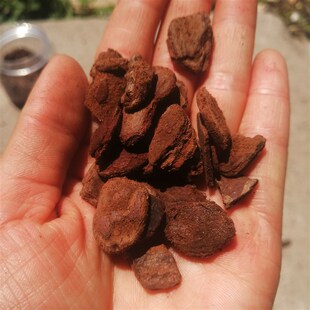 新西兰松树皮奥科特Orchiata进口兰花植料蝴蝶兰铁皮石斛营养基质