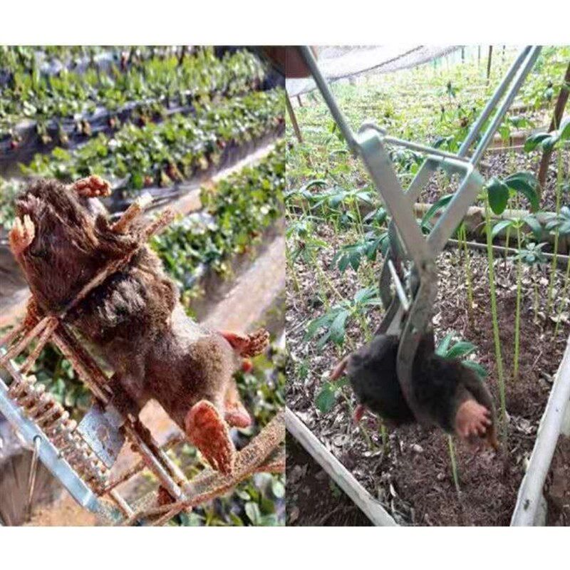 鼹鼠夹地鼠夹瞎耗子夹地老鼠夹鼢鼠夹全自动捕捉器地夹老鼠夹子铁