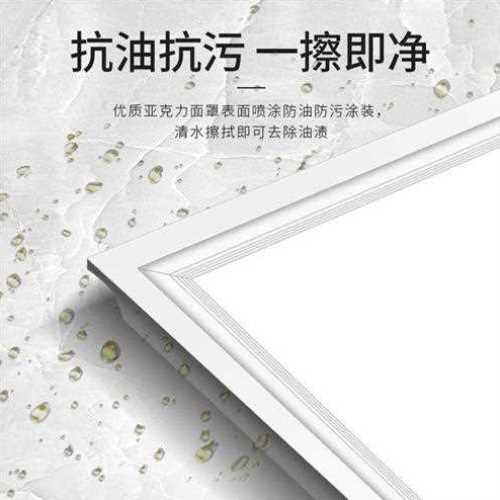 集成吊顶led灯 厨房卫生间灯铝扣板嵌入B式30x30x60x300x600平板