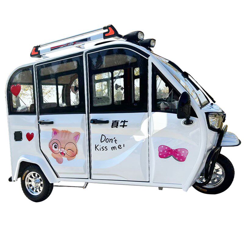 小众高货全封闭电动三轮车成人家用带棚车女士代步小型可选上牌国