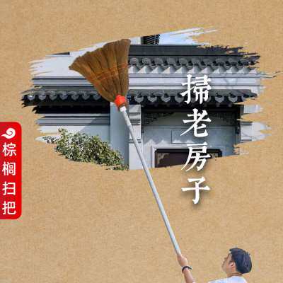 新款伸缩扫把屋顶除尘扫灰加长杆家用打扫天花板棕榈扫把卫生清理