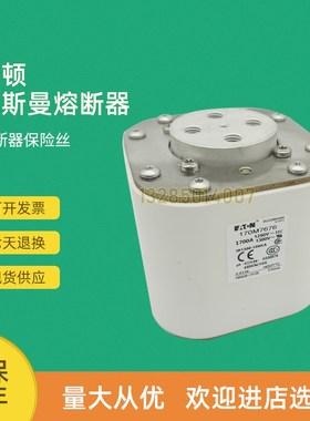 全新快速熔断器保险170M7676 170M7680 170M7681 170M7683