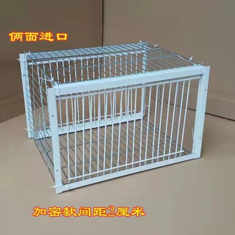 只进不出鸽子笼天落笼收鸽机跳笼信鸽抓鸽子自动笼抓鸽的陷阱笼子