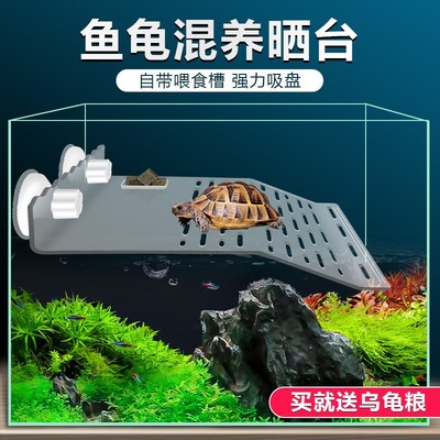乌龟晒台龟爬台休息台吸盘晒台高水位栖息台亚克力晒背台水族用品