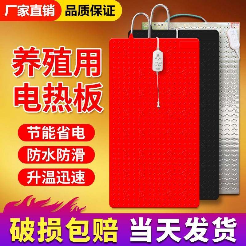 速发保暖仔猪用加热板猪舍养蛇保温箱冬季电热板养殖X设备兽用猪