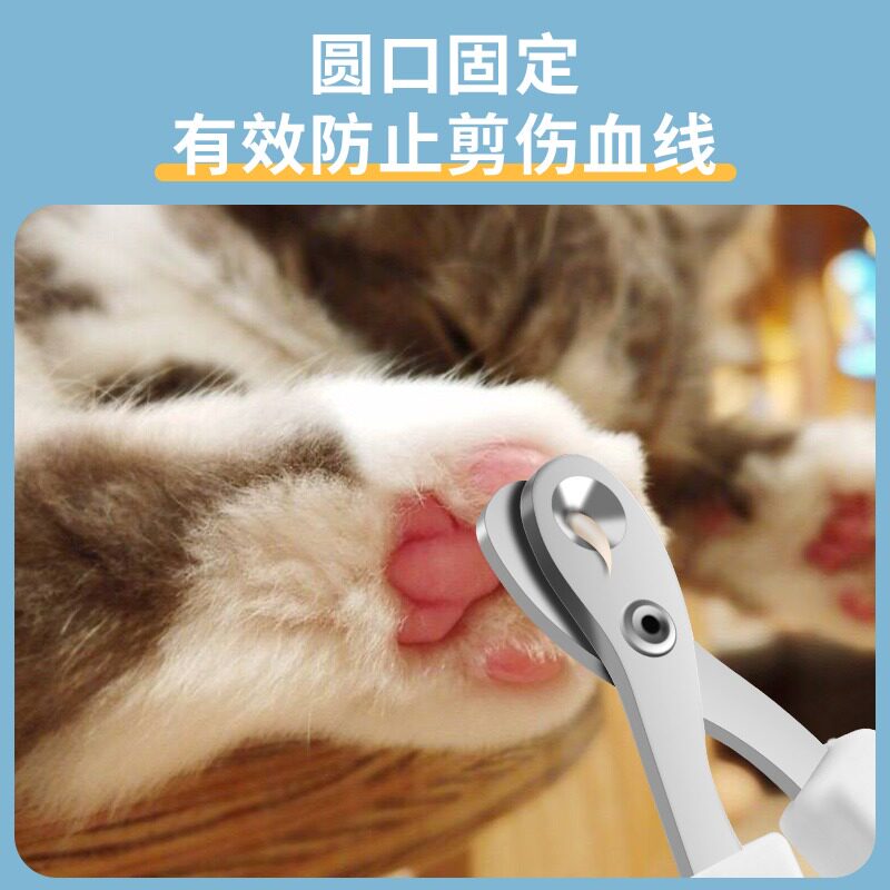 猫咪专用指甲剪小盲剪猫剪指甲神器宠物指甲钳指甲刀用.猫爪子剪