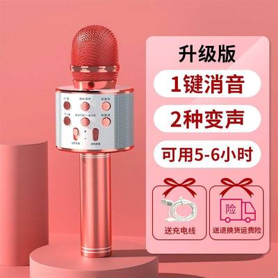 推荐Wireless Karaoke Microphone Bluetooth Handheld Portable