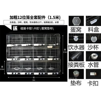 镀锌鸡笼放养笼下蛋鸡窝鸡舍鸭舍大型养殖鸡笼子鸽舍鸽窝猫笼鸽棚