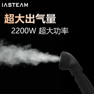 速发鑫珂挂烫机大功率全铜发热器蒸汽熨斗2200W服装店用商用挂式