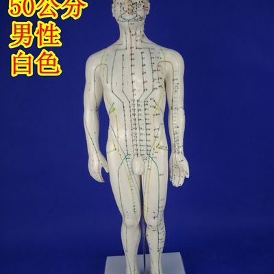 人体铜人中医针灸模型经络模型人体经H络模型经络穴位模型人体穴