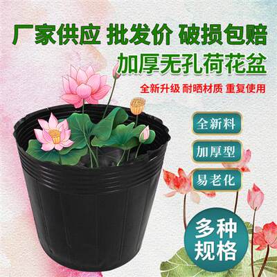 极速荷花盆加厚一次性黑色塑料无孔碗莲盆水生植物育苗盆睡莲盆营