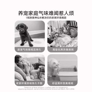 空气除臭剂宠物狗狗猫咪消毒液生物酶除猫尿分解剂猫砂去尿味