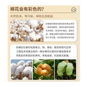 护肚子神器睡觉护肚脐大人保暖空调房防着凉男孕妇防寒肚围女