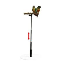 for Fin Perch Parrot Stand Wooden Bird Stable 推荐 Training