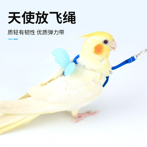 鹦鹉飞行带d放飞绳超轻虎皮牡丹玄凤背带衣服鸟牵引绳子溜鸟绳用