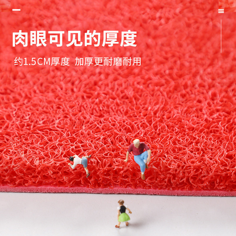 入户门地垫进门门口丝圈脚垫家用进户门垫玄关门外室外可裁剪地毯,居家布艺,入户地垫,淘宝优惠券,粉丝福利购,淘宝优惠卷