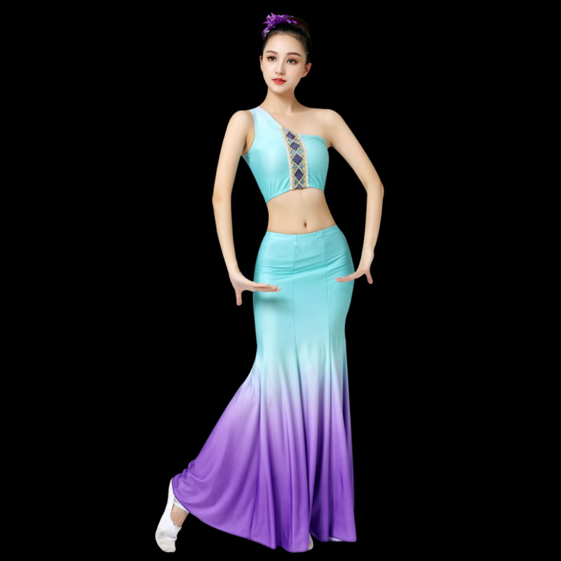 小众高货傣族舞蹈演出服练功裙表演服女傣族舞裙孔雀舞鱼尾半身裙