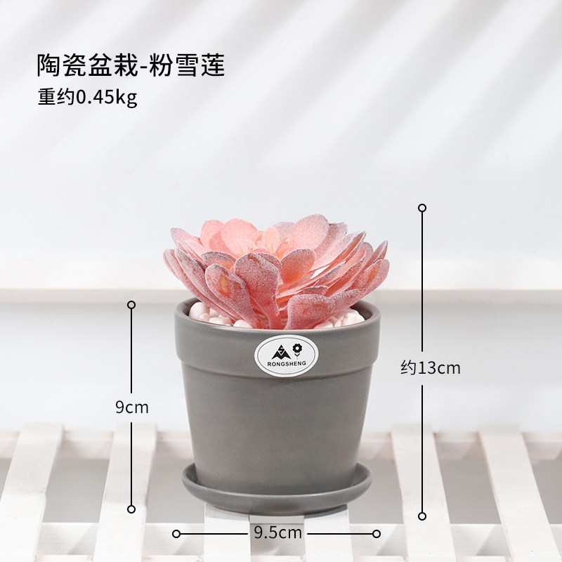 小众高货北欧仿真绿色植物客厅摆件创意多肉小盆栽装饰品绿植假花