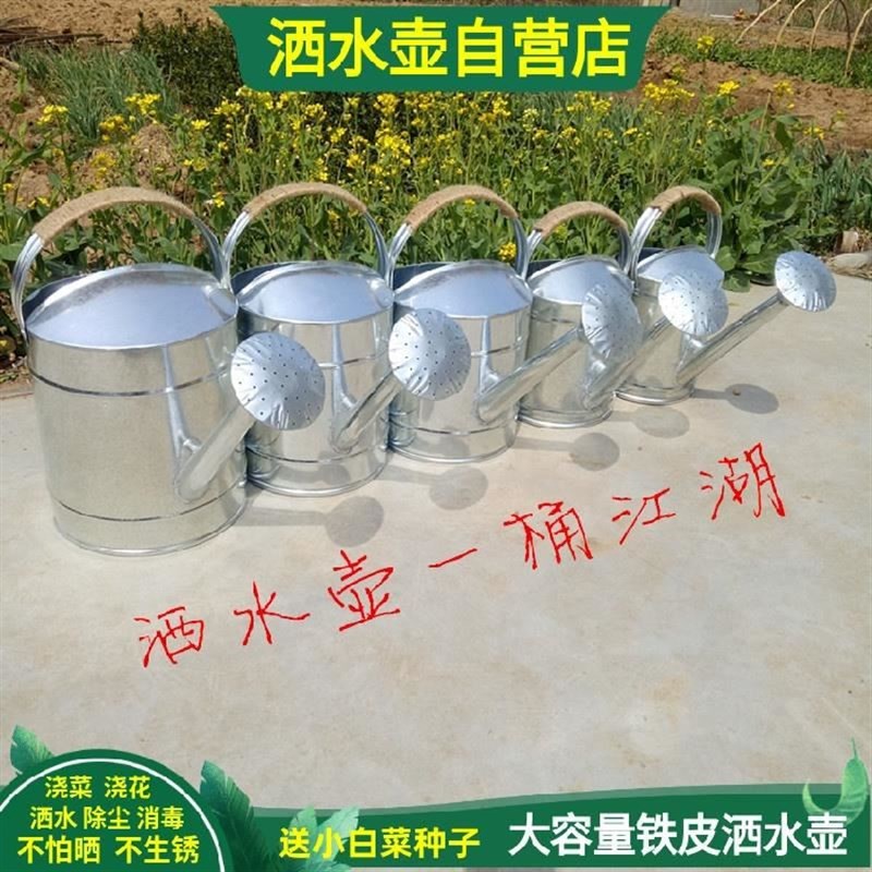 洒水壶不锈皮家用浇菜浇花水壶淋花喷H壶浇水壶不锈钢洒水桶喷壶