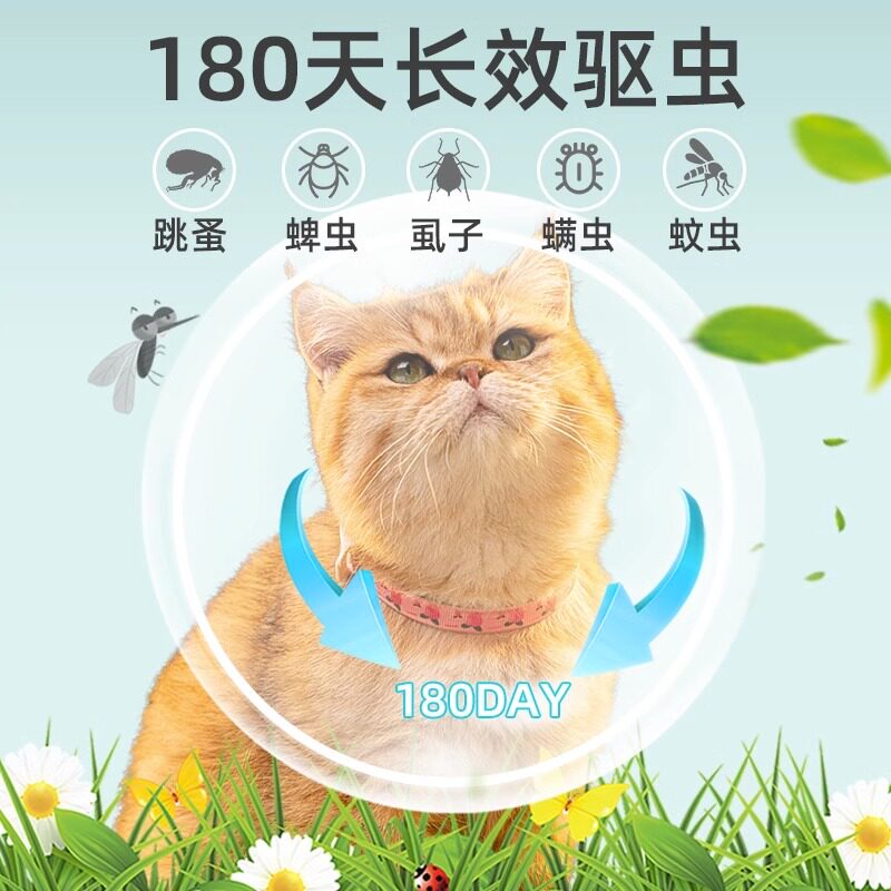 现货猫咪体外驱虫项m圈伊丽莎白圈防螨虫去虱子小狗除跳蚤驱蚊宠