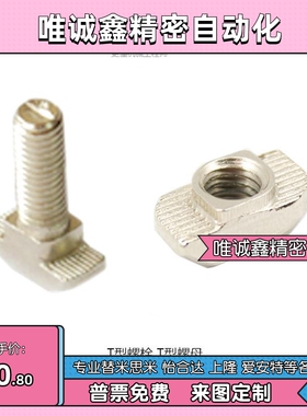 上隆T型螺栓螺母TSCW TNUT TSCW-30-M6-L25 TNUT-30-M4 TNUT-45