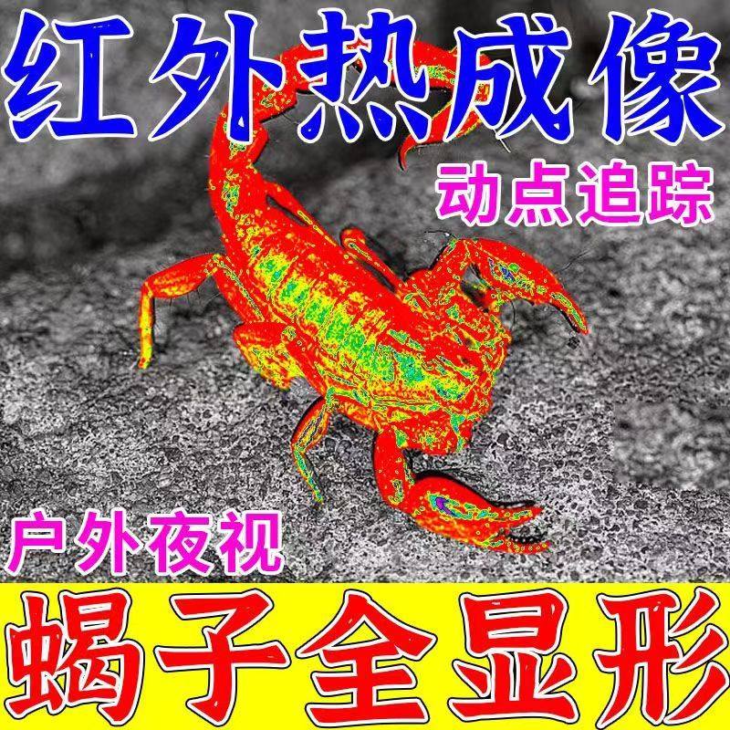 速发手机热成像夜视仪抓蝎子专用强光紫光灯专用工具一锅端抓蝎子