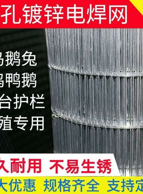 网片网格防护栏钢丝养殖网孔网家用防铁丝网围栏网镀锌小电焊鼠