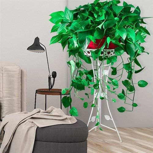 三脚架花架欧式室内客厅铁艺花盆架落地式家用阳台吊兰绿萝置物架