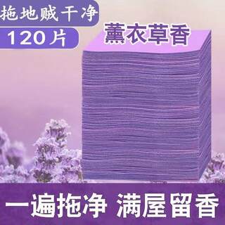 新品地板护理清洁片留香除异味强力瓷砖清洁剂擦地拖地神器一拖净