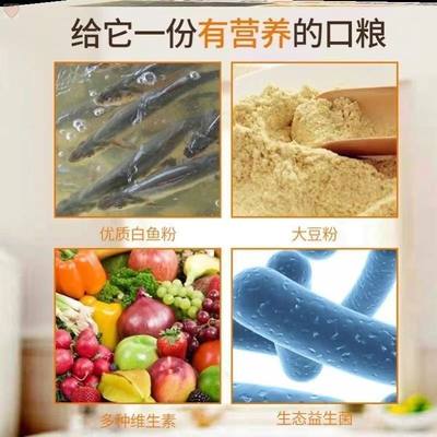 新品鱼苗开口料黑鱼七星鱼鲶鱼锦鲤浮料高蛋白通用型鱼饲料鱼饵料