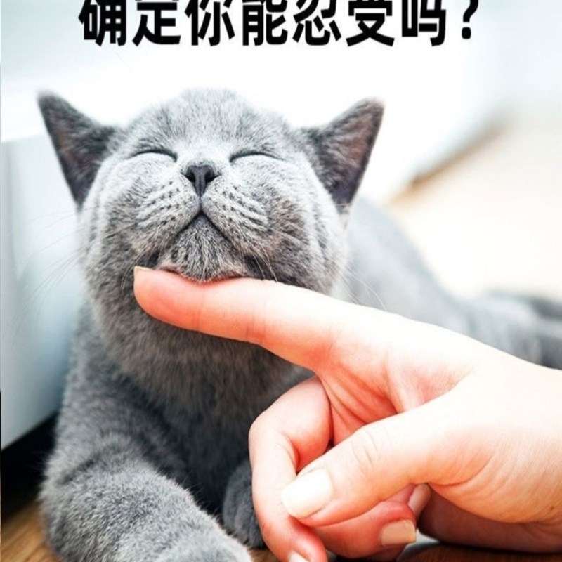 宠情粉母猫专用禁禁公母猫咪狗绝育物M情粉避孕药禁欲抑情