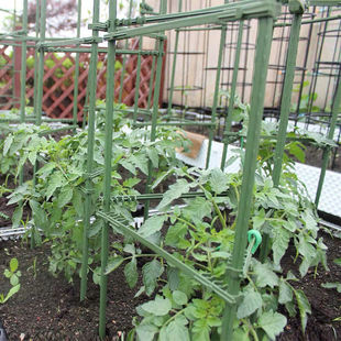 速发匠心绽放园艺支架四边形60cm爬藤架番茄黄瓜种菜架子植物攀爬