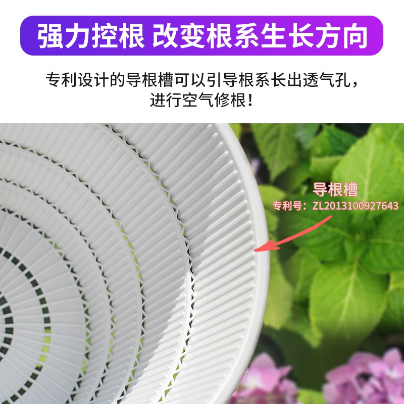 速发美莳控根花盆大号加仑透气深高塑料沙漠玫瑰蝴蝶兰石斛月季专