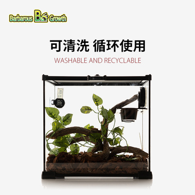 厂家爬宠垫材树皮饲养箱保湿除臭森林地表陆龟蜥蜴蛇造景天然垫材